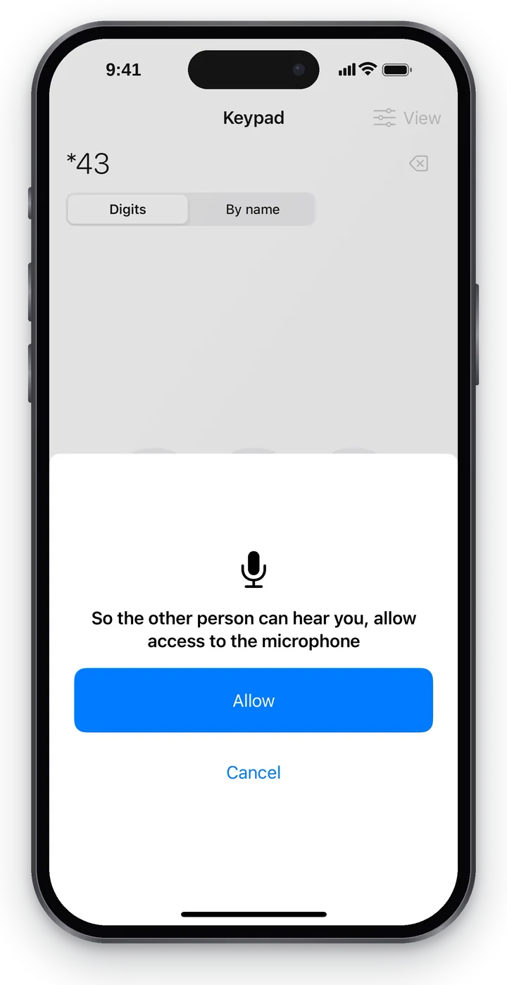 The microphone request: “So the other person can hear you, allow access to the microphone”, the “Allow” and “Cancel” buttons