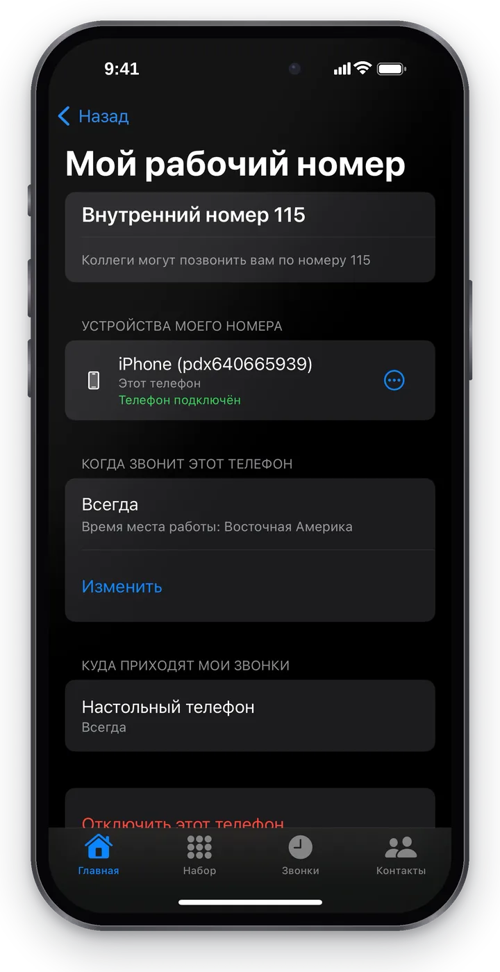 «Мой рабочий номер»: «Внутренний номер 115», «Коллеги могут позвонить вам по номеру 115», «Устройства моего номера» — этот iPhone «Этот телефон · Телефон подключён», блок «Когда звонит этот телефон»